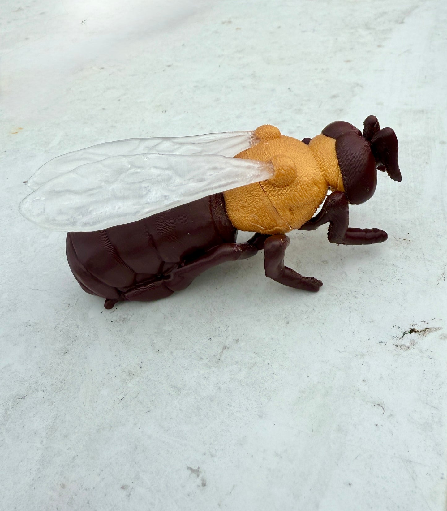 Honey bee drone