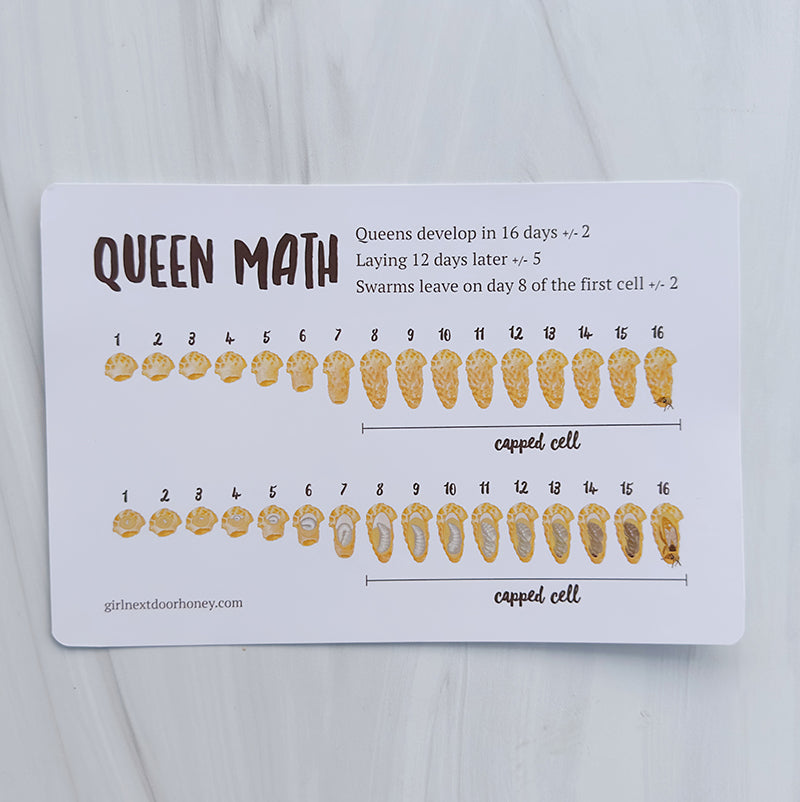 Mini bee math cards
