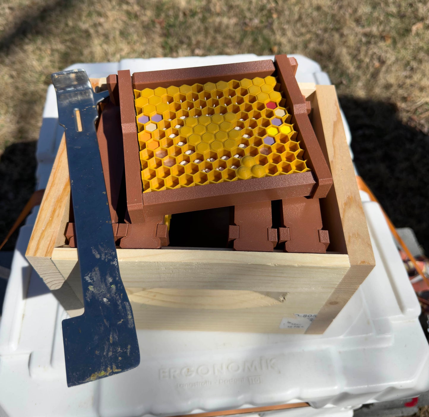 Model Teaching Beehive