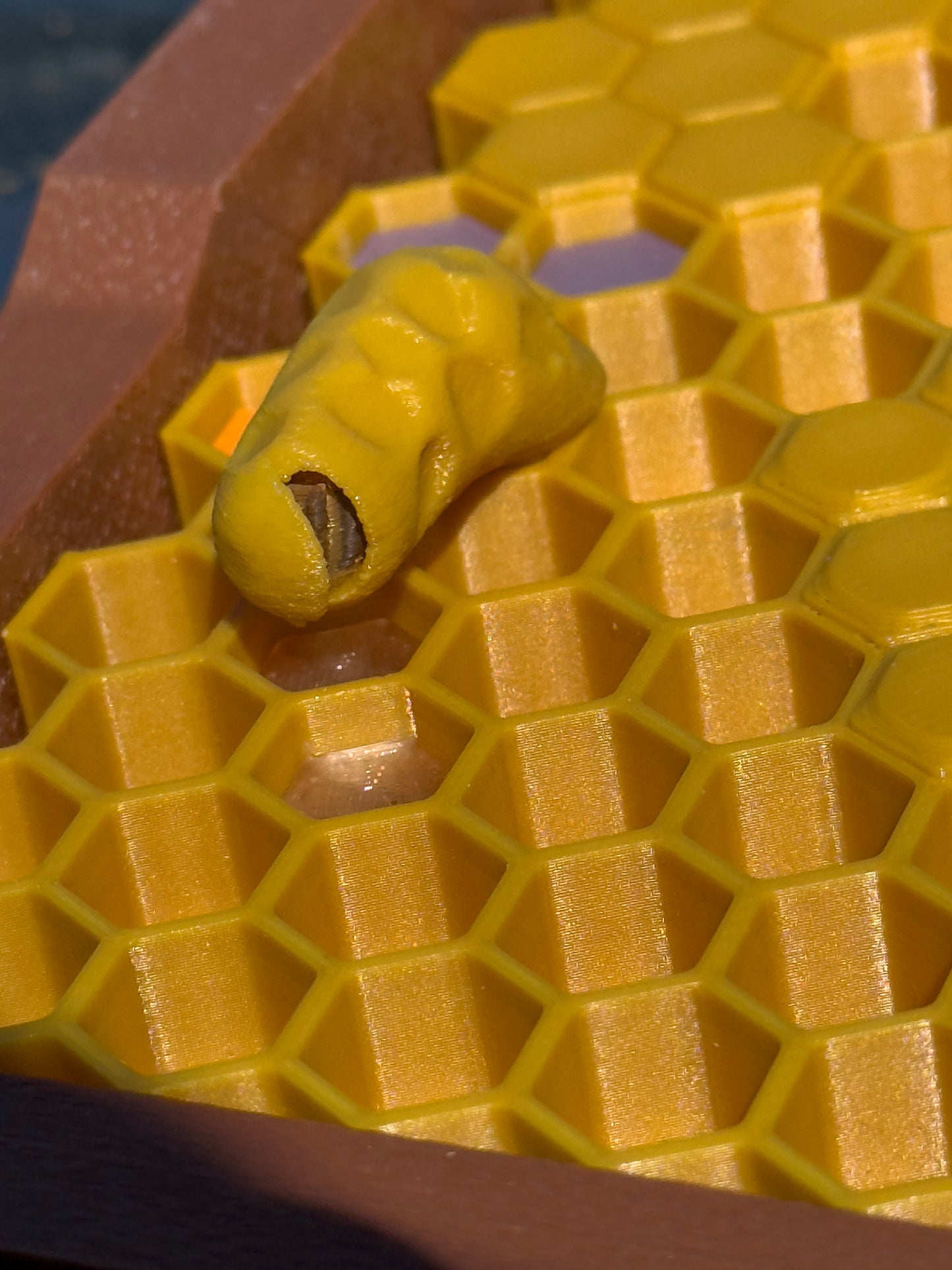 Model Teaching Beehive
