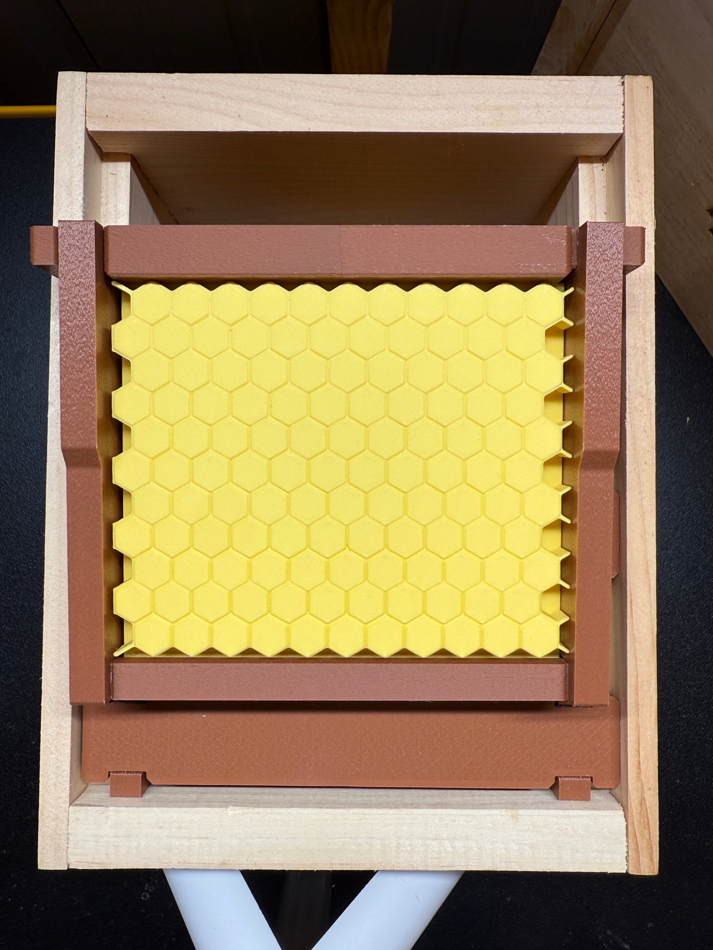 Model Teaching Beehive