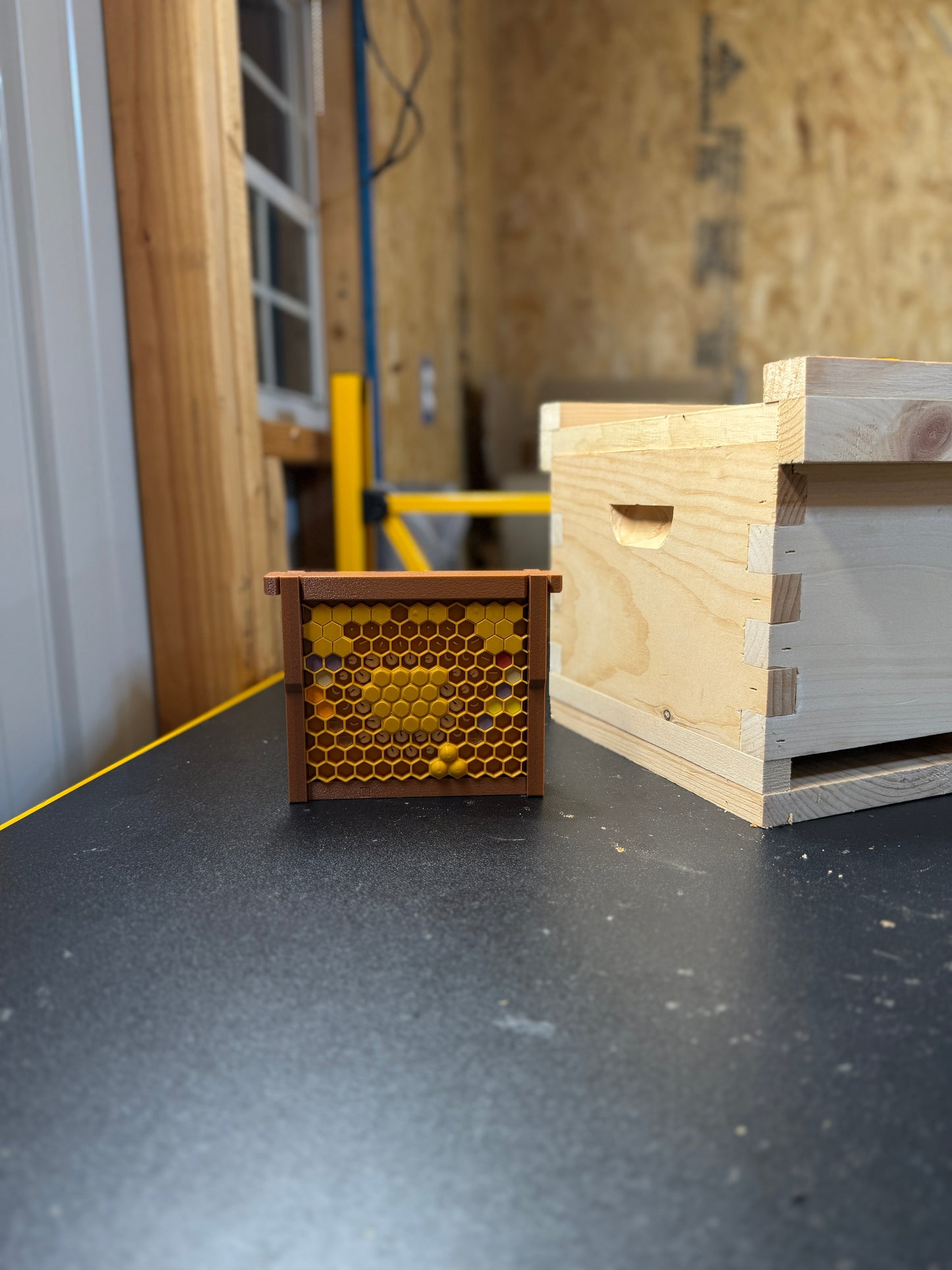 Model Teaching Beehive