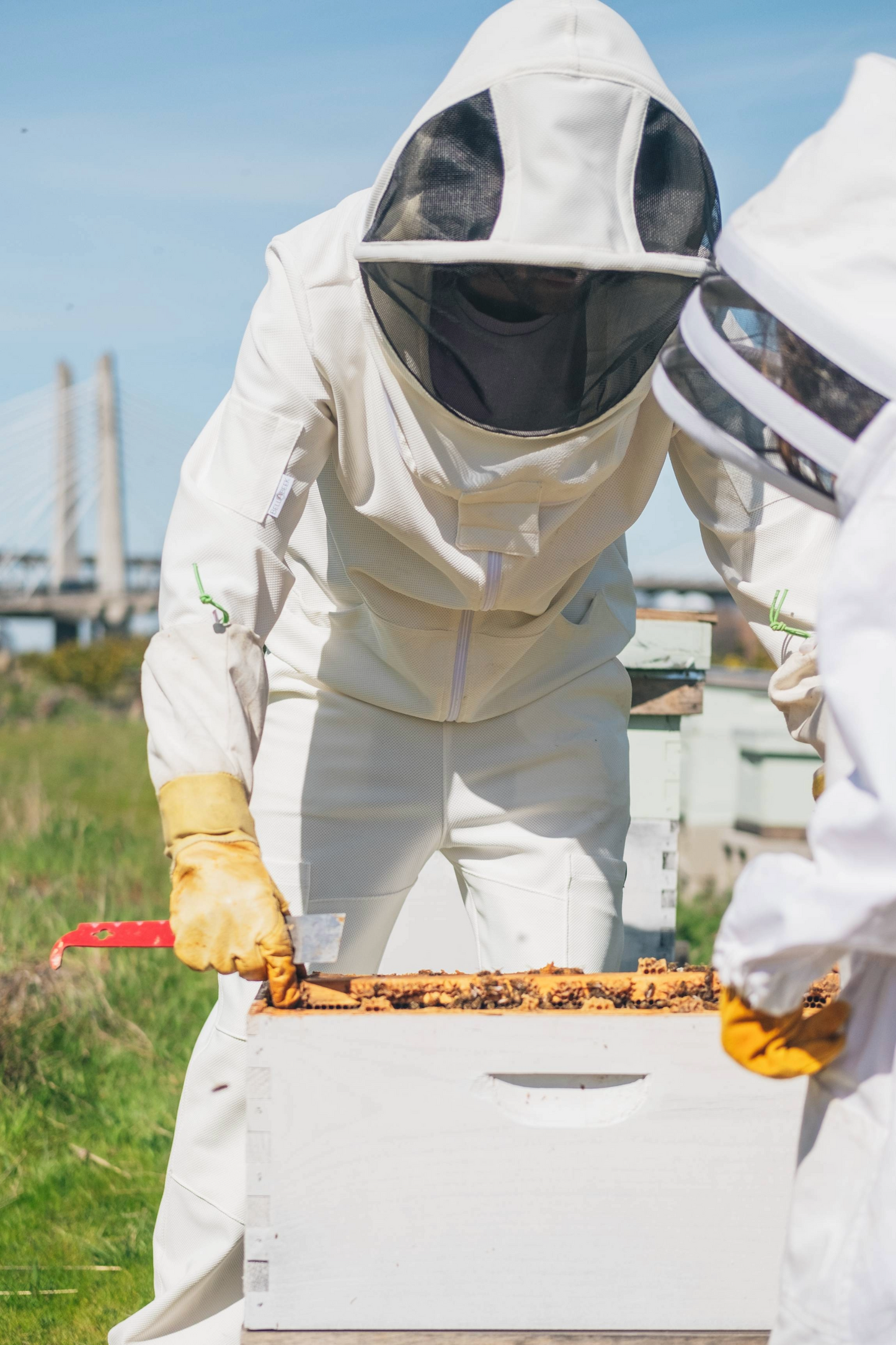 UVBee™ Beekeeping Pants