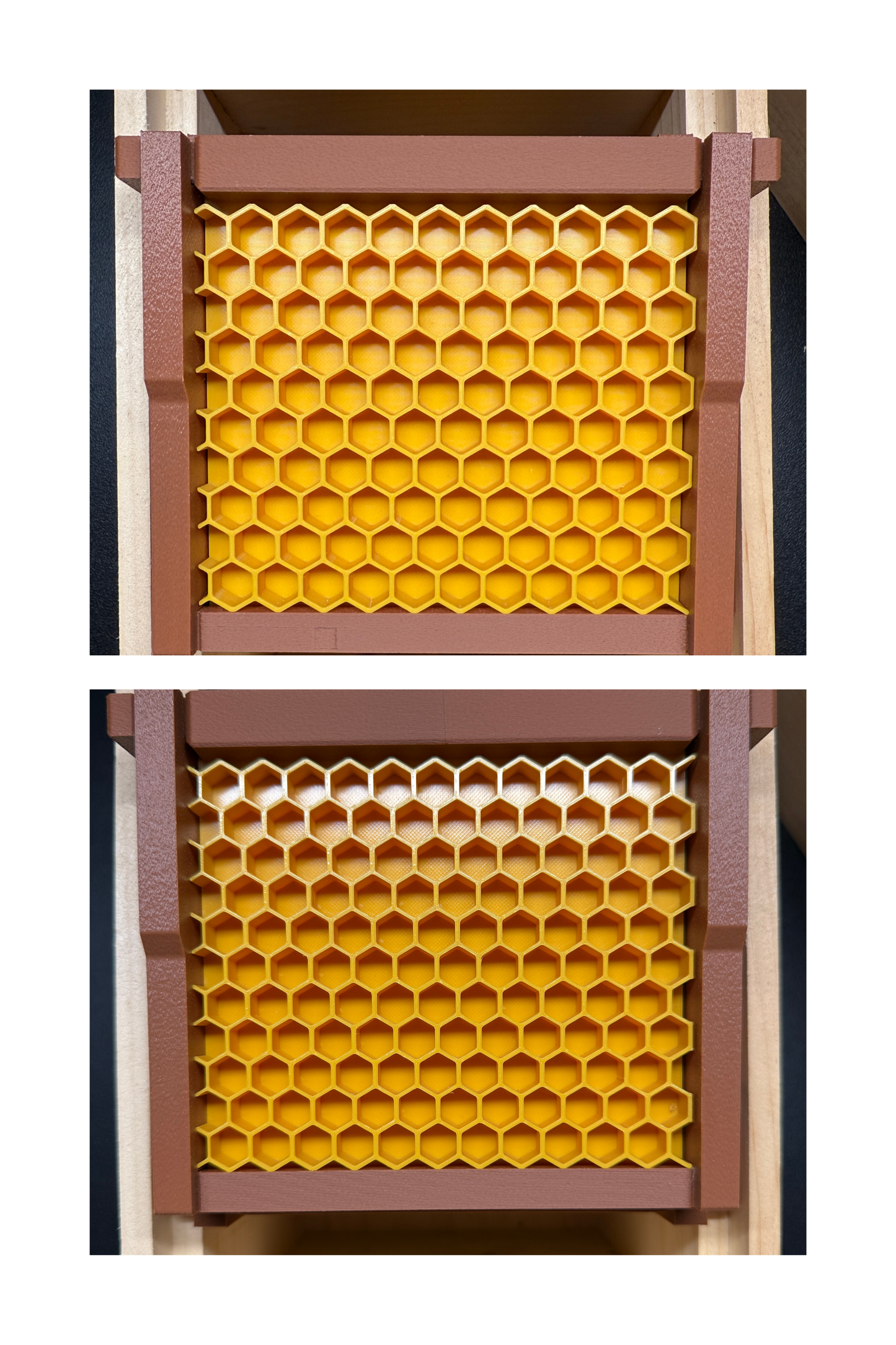 Model Teaching Beehive