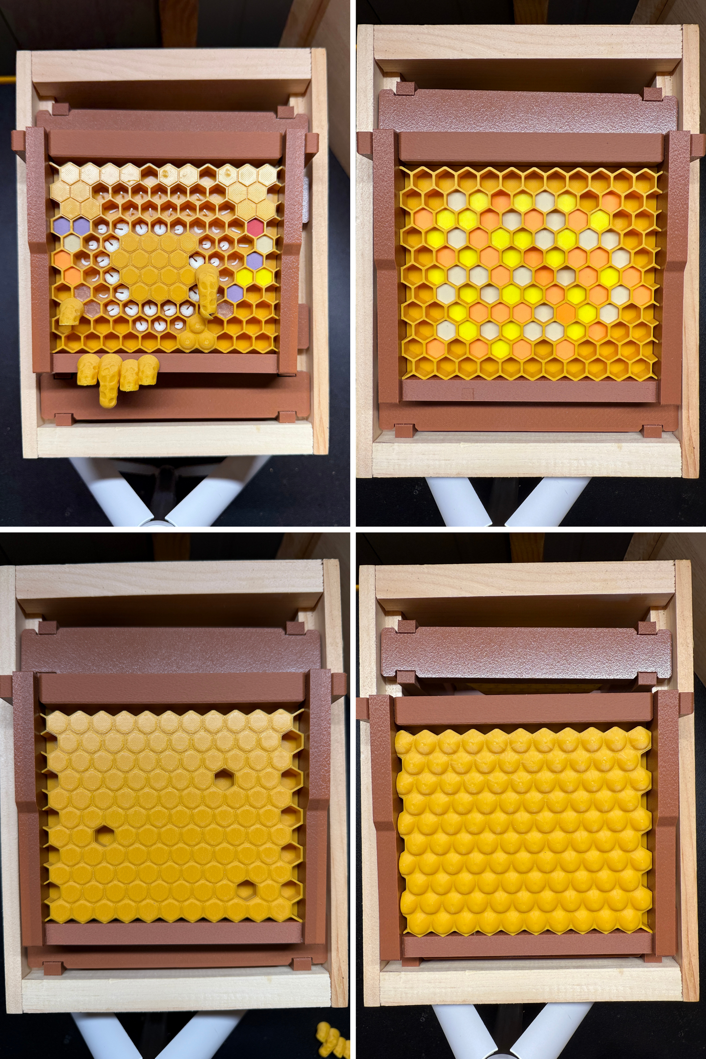 Model Teaching Beehive