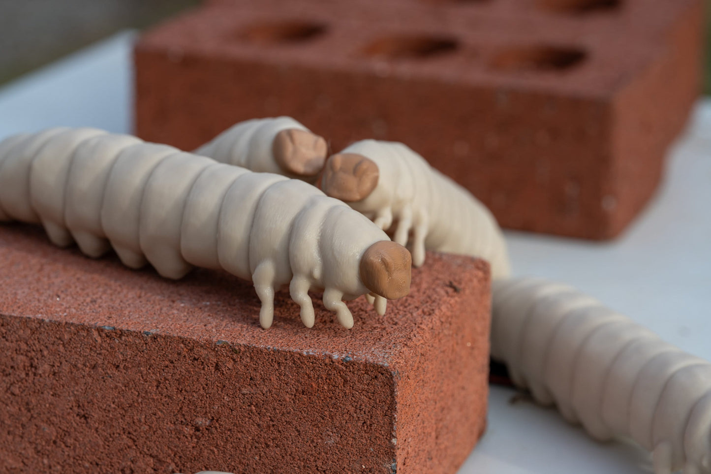 3D printed Wax Moth Larva model