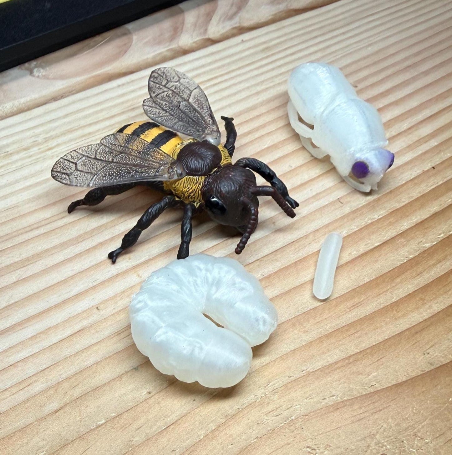 Replacement Models for Life in the Hive