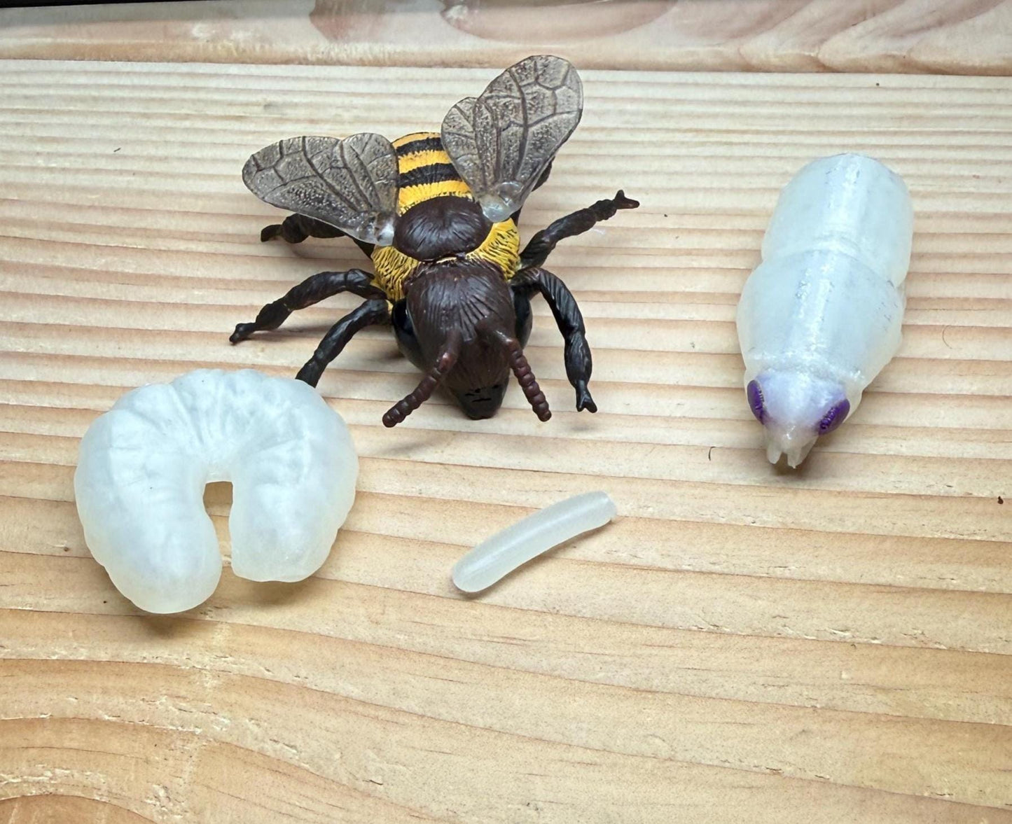 Replacement Models for Life in the Hive