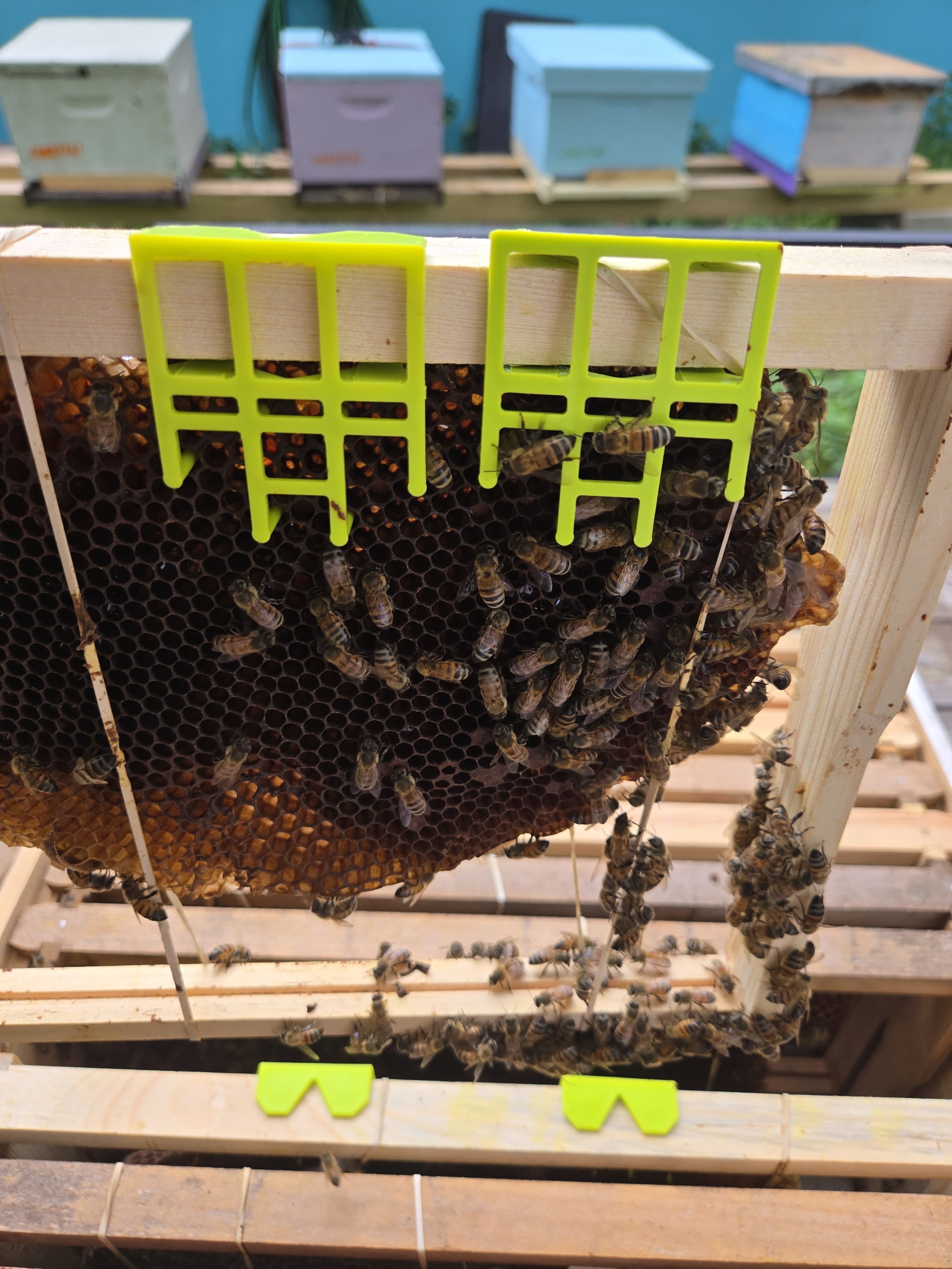 Apiary Tools – Aperture Apiary