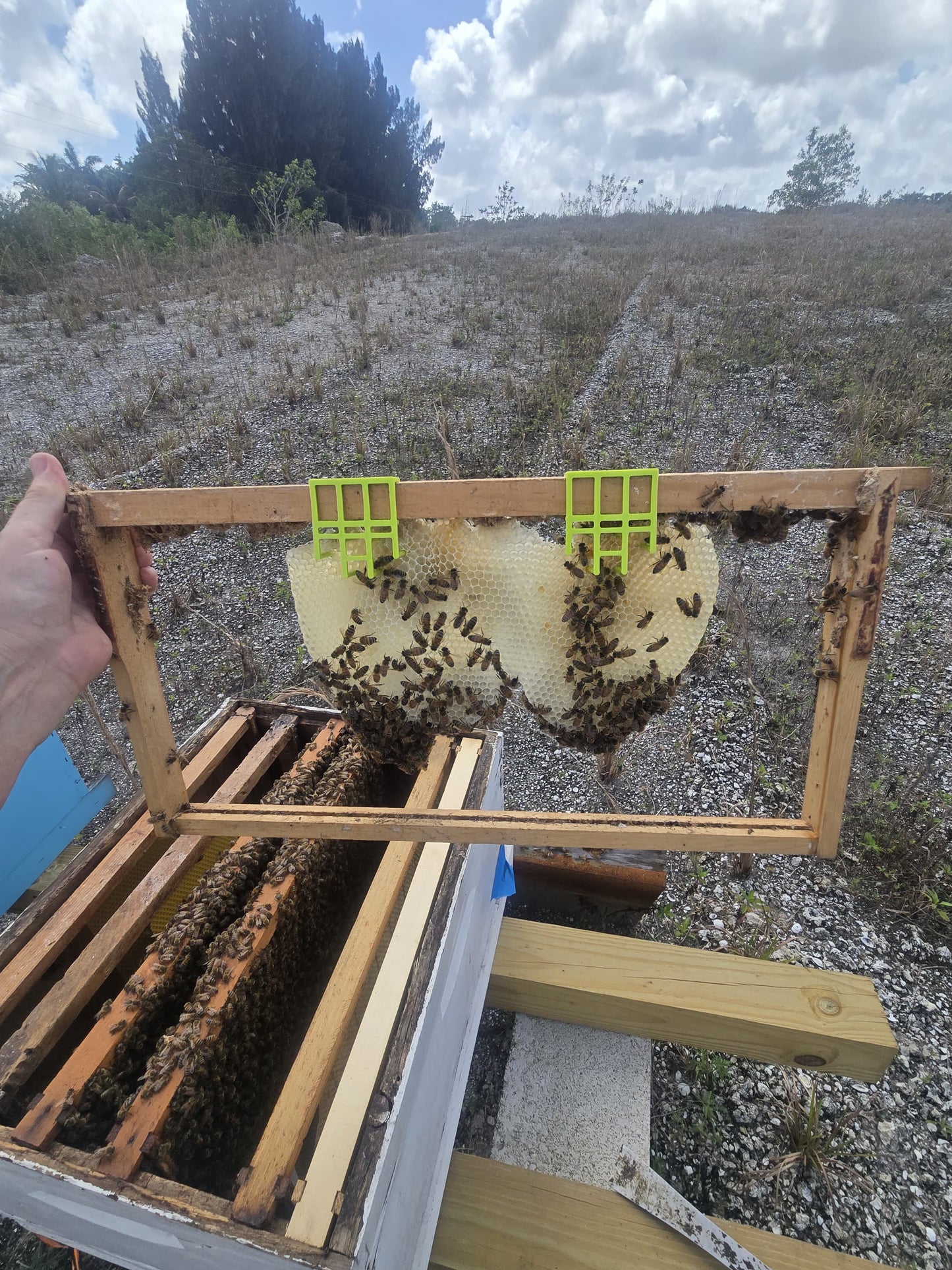 Comb Keeper: Comb Recovery Tool