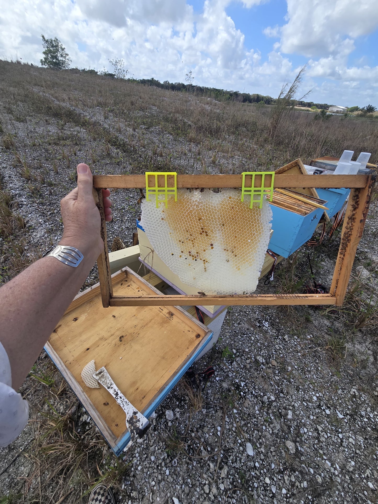 Comb Keeper: Comb Recovery Tool