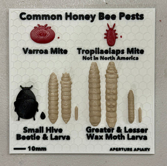 Common Honey Bee Pests chart