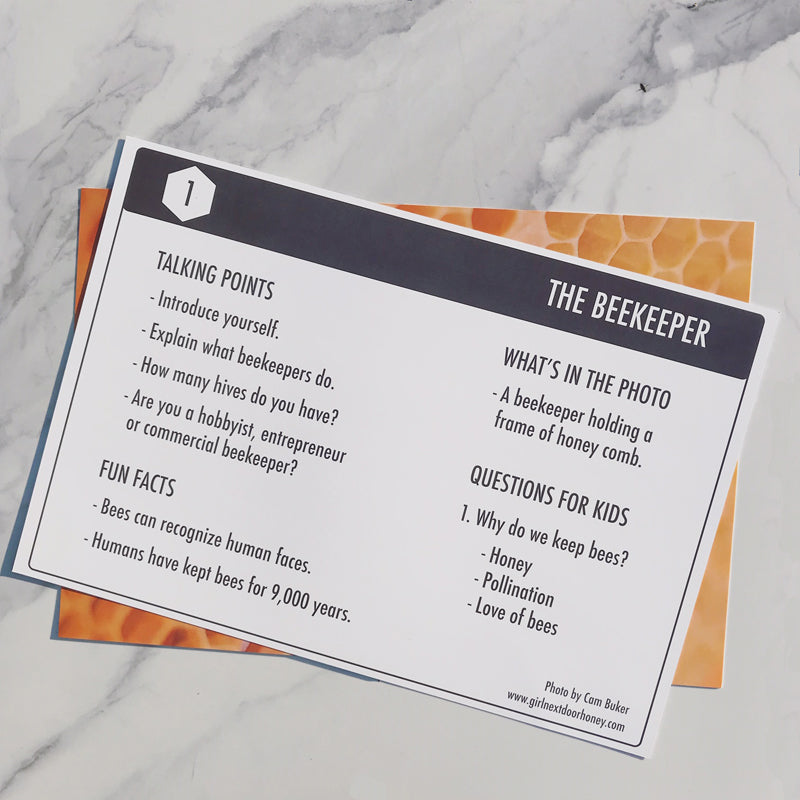 Educational Honey Bee Posters