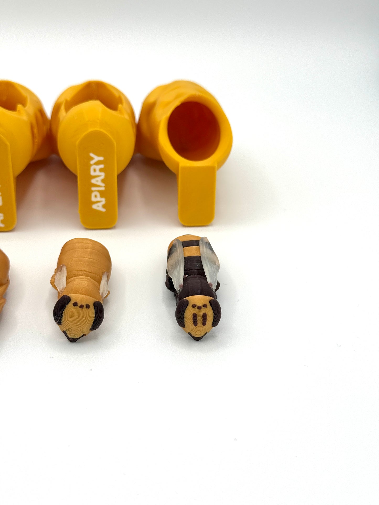 Honey Bee Queen Complete Lifecycle