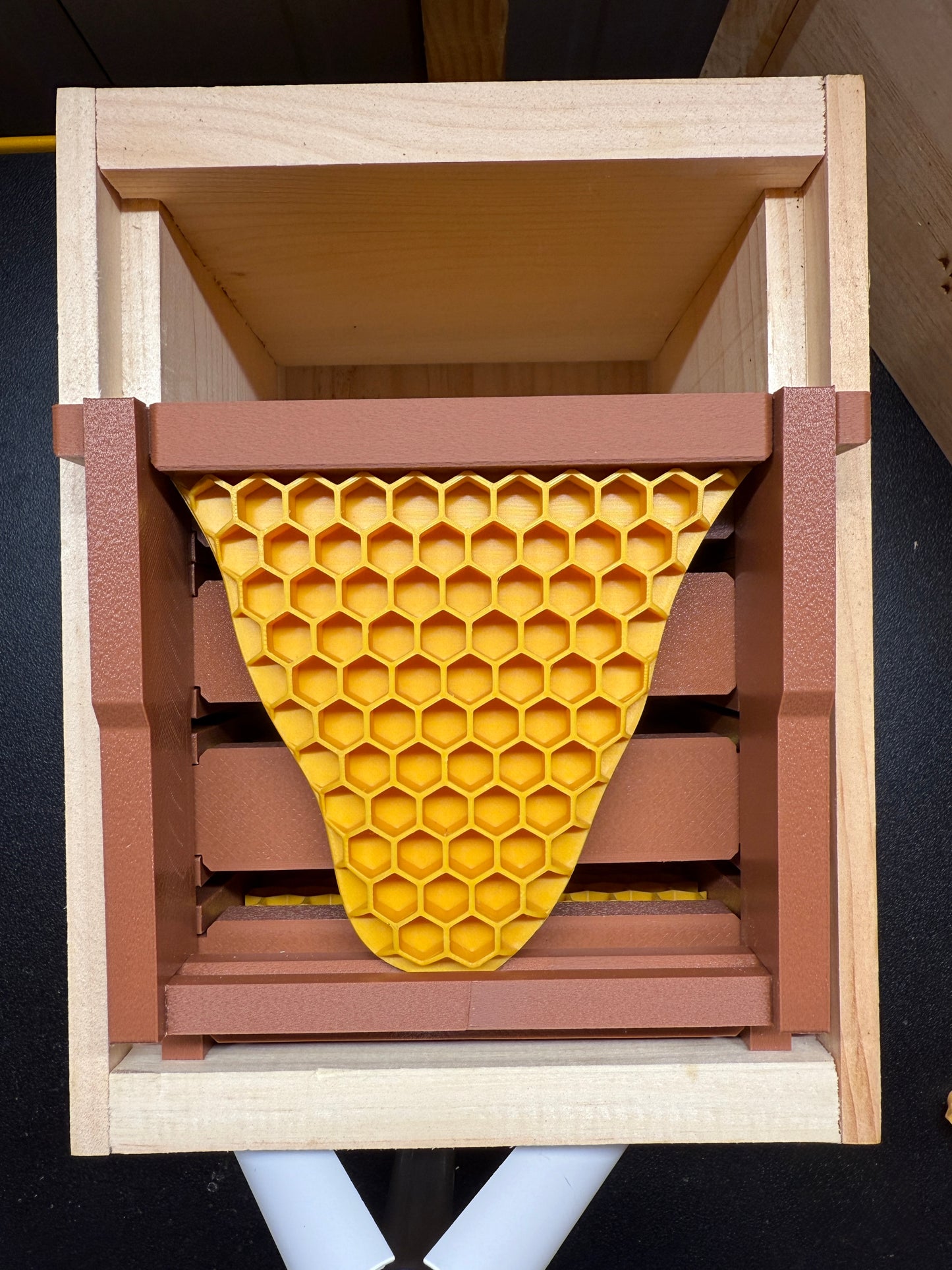 Model Teaching Beehive