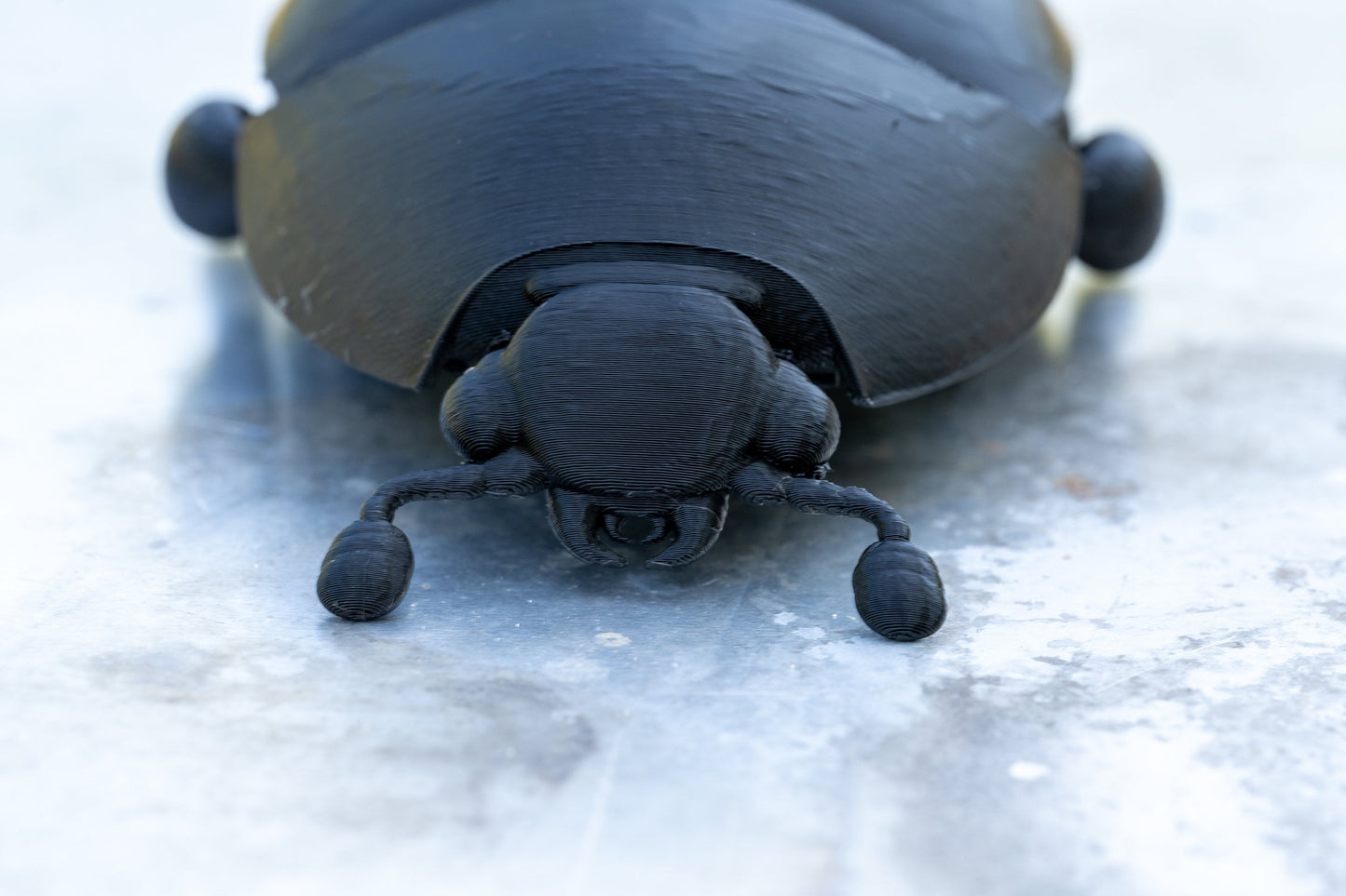 3D printed Small Hive Beetle