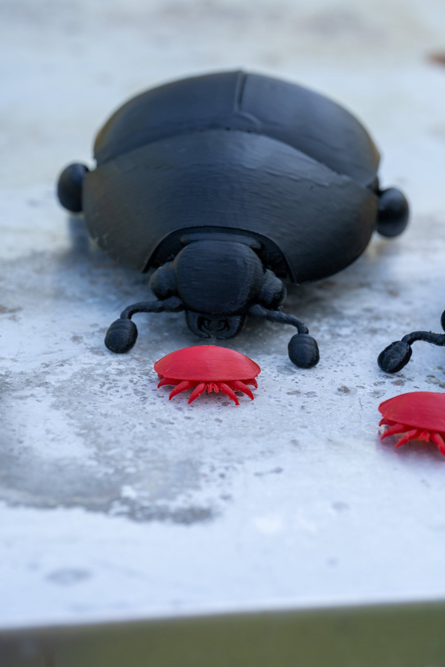 3D printed Small Hive Beetle