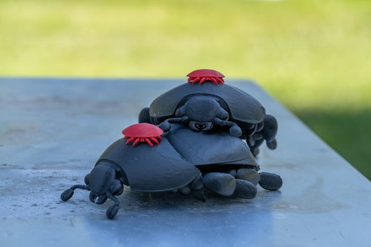 3D printed Small Hive Beetle