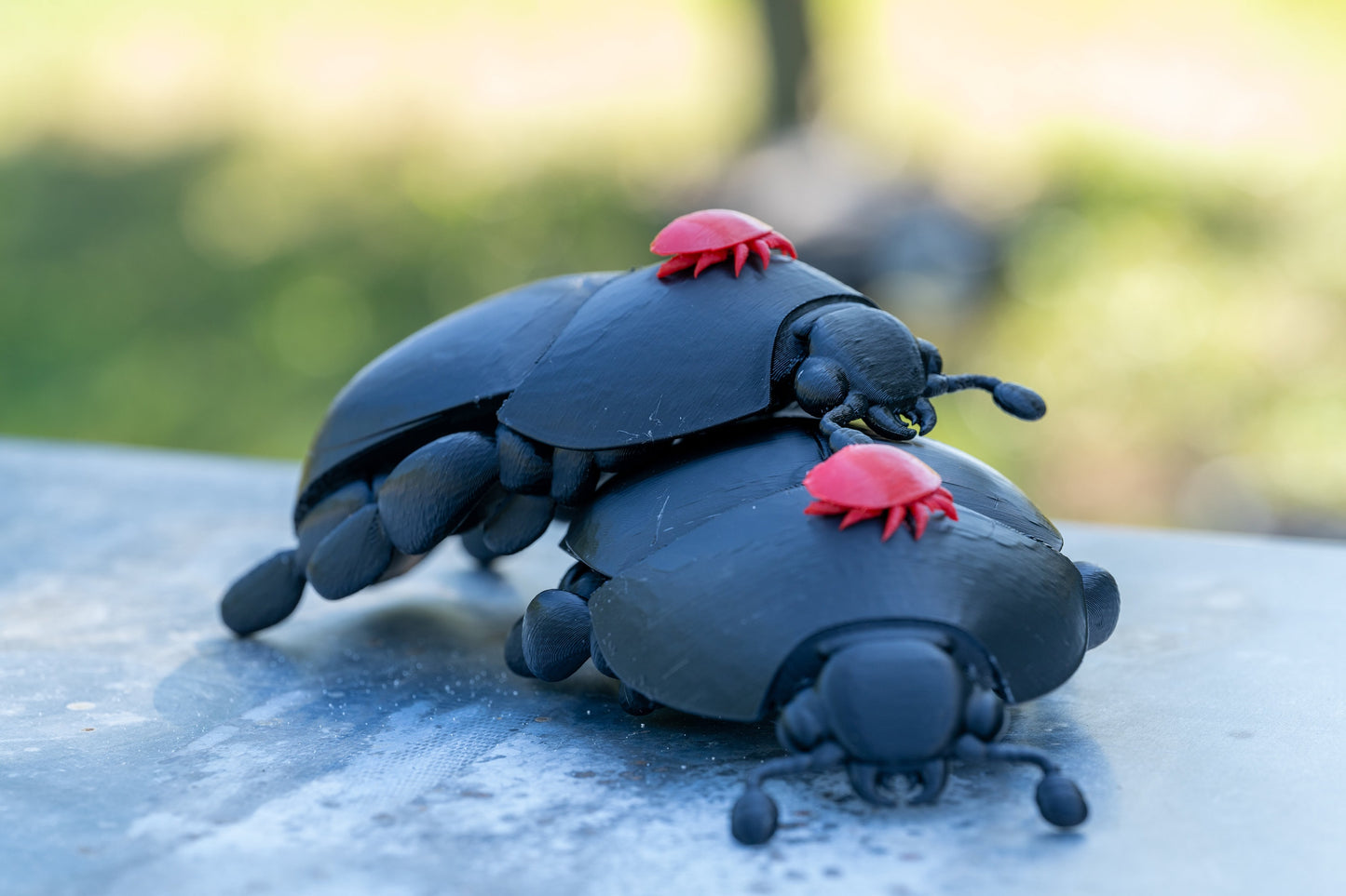 3D printed Small Hive Beetle