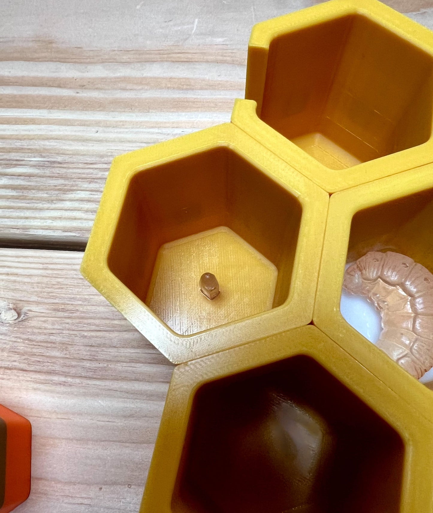 Life in the Hive: A hands-on Honey Bee learning kit for beekeepers