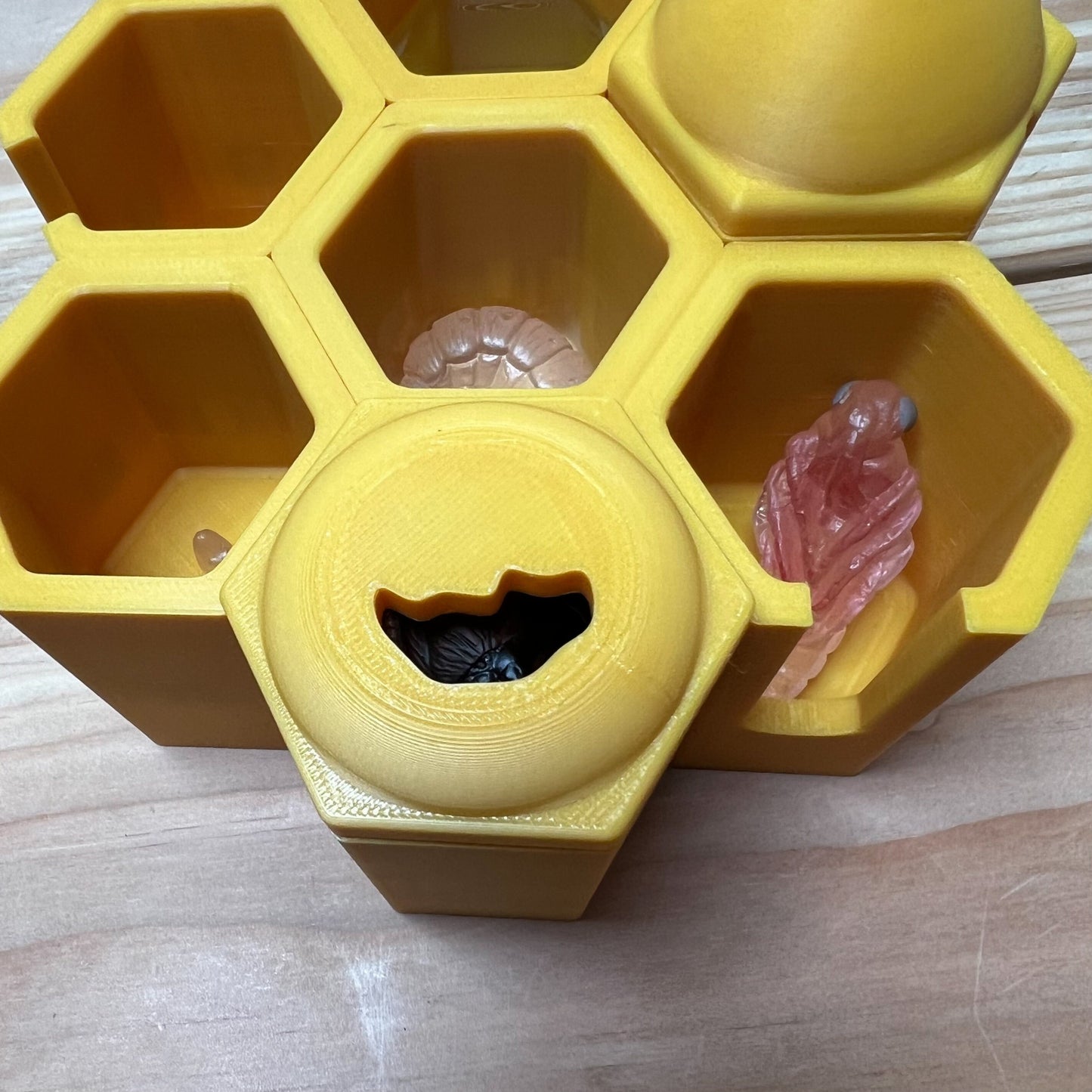 Life in the Hive: A hands-on Honey Bee learning kit for beekeepers