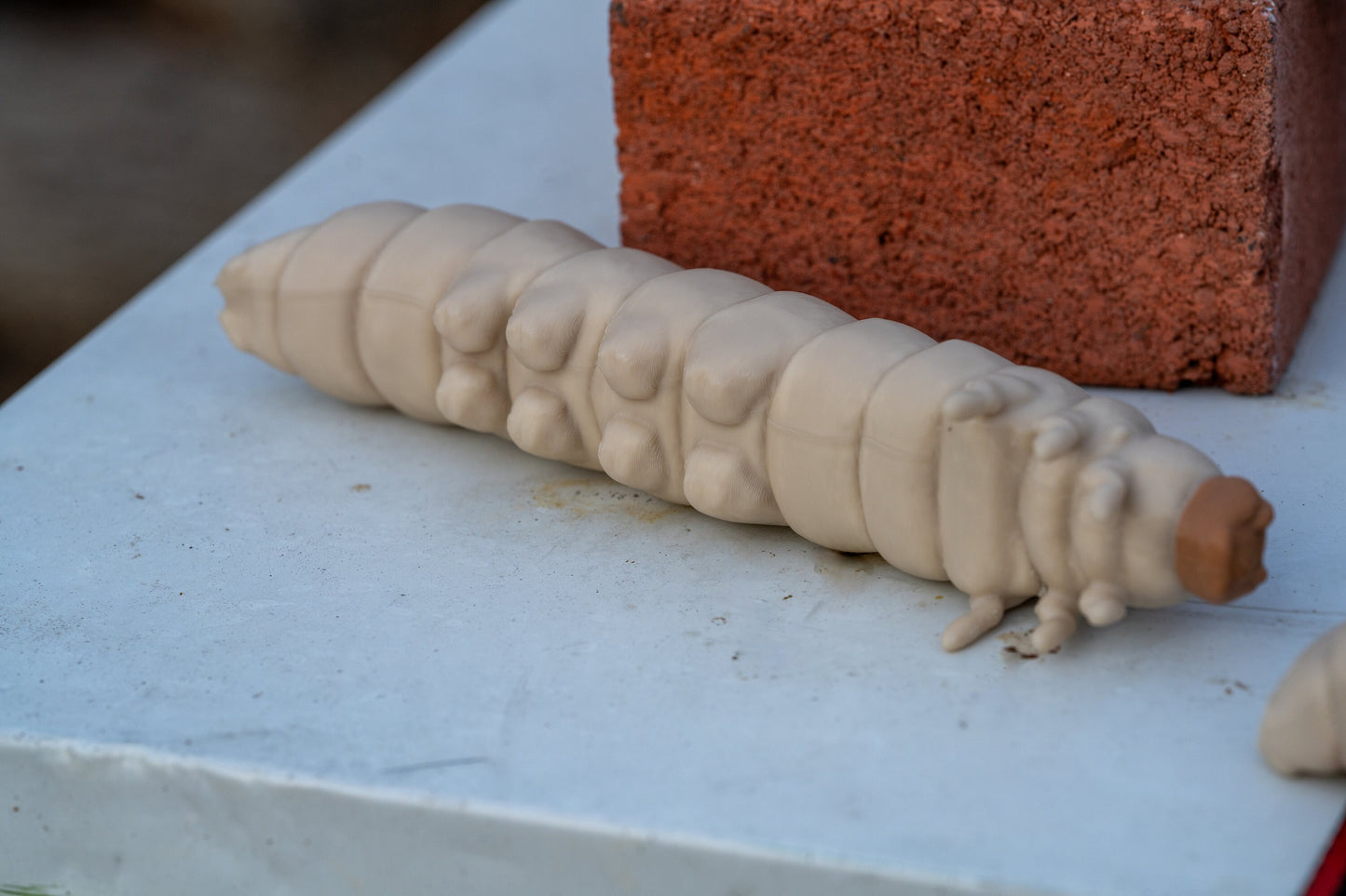 3D printed Wax Moth Larva model