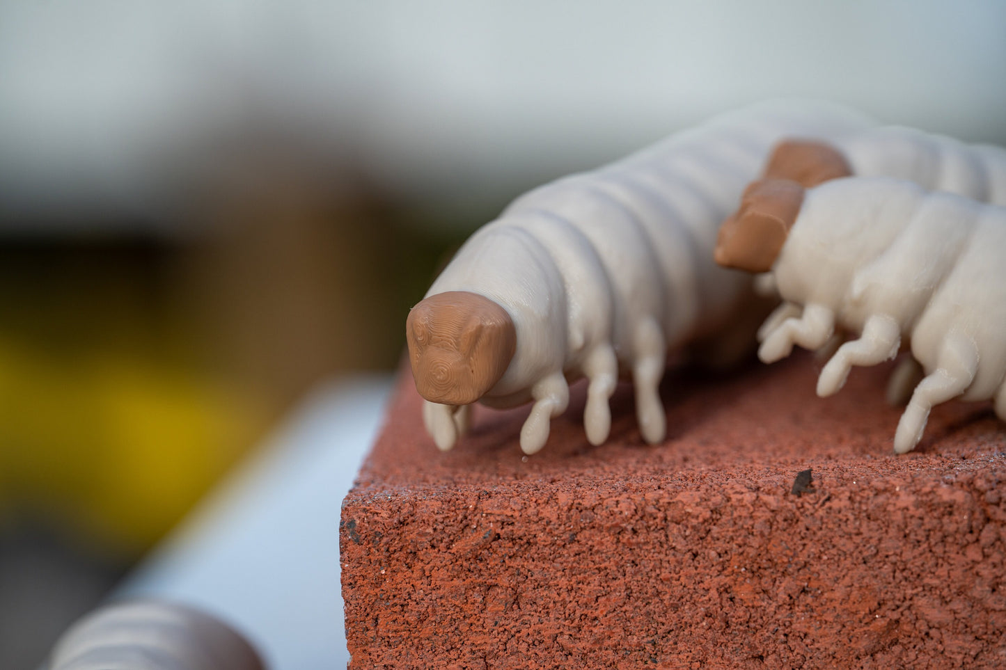 3D printed Wax Moth Larva model