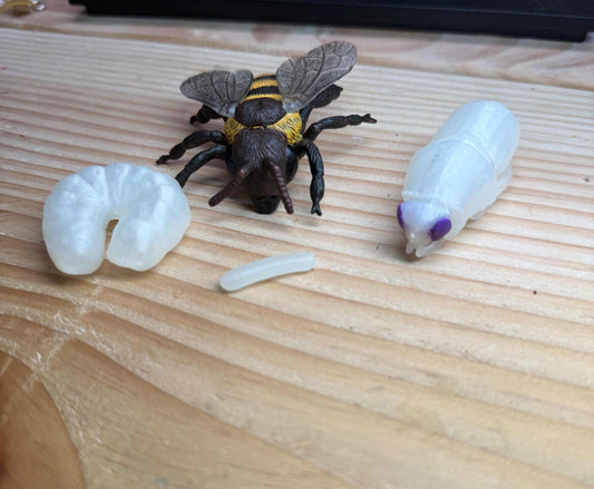 Replacement Models for Life in the Hive